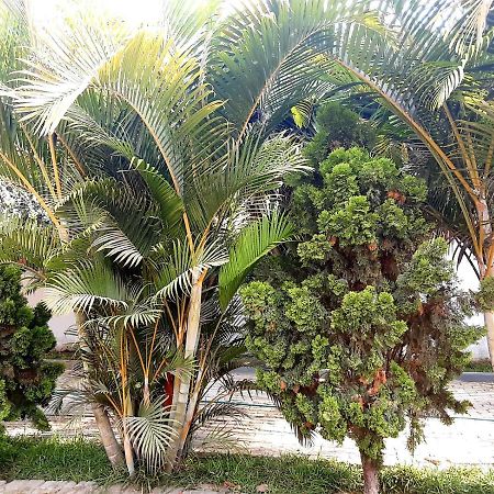 Villa Hospedaje Chanchan Cultural Lodge Trujillo Bagian luar foto