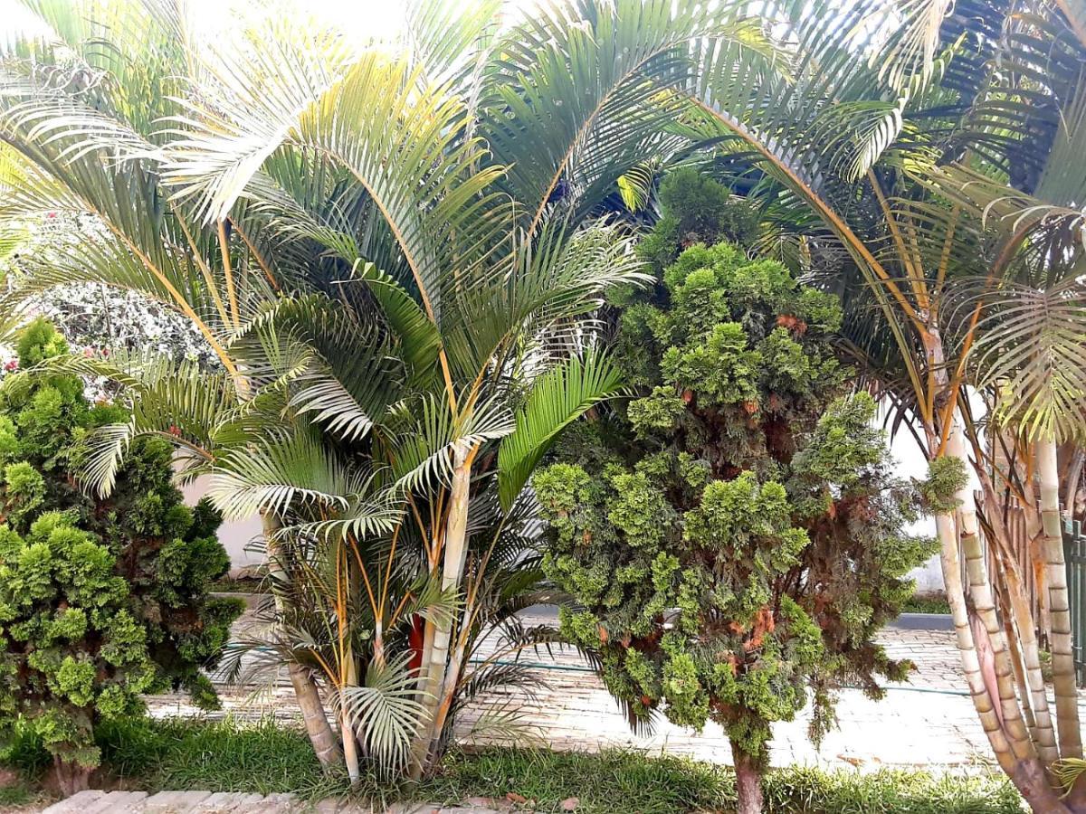 Villa Hospedaje Chanchan Cultural Lodge Trujillo Bagian luar foto